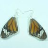 Boucles d'oreille papillon réel - Ref BIJRNWE1 (Lot 600 pcs)