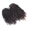 Cheveux brésiliens naturels bouclés - Ref CHVNAT9438 (Lot de 10 sachets)
