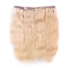 Cheveux européens blonds - Ref CHVNAT9614 (Lot de 10 sachets)