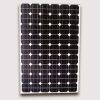 Panneau solaire monocristallin 145W (Lot de 10 pcs)