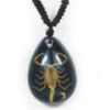 Pendentif résine avec insecte réel - Ref BIJRNDC06 (Lot 600 pcs)