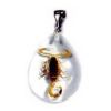 Pendentif résine avec insecte réel - Ref BIJRNSD06 (Lot 600 pcs)