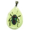 Pendentif résine avec insecte réel - Ref BIJRNYD06 (Lot 600 pcs)