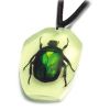 Pendentif résine avec insecte réel - Ref BIJRNYD58 (Lot 600 pcs)