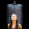 Pommeau de douche lumineux 16' 12 leds - POMDCH52 (Lot 5 pcs)