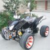 Quad 300 cc - 4 temps - 60 Km/h - QUADZHV25 (Lot 5 pcs)