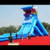 Toboggan gonflable aquatique Dragon géant de 54 x 12.80 x 12.30 mètres