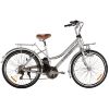 Vélo électrique citadin 250W 36V 70 KM - VELDV2604 (Lot 10 pcs)