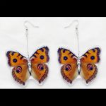 boucles oreilles animaux reels BE1