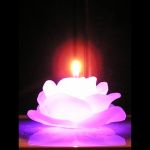 Bougie en cire avec led - Rose en fleur (lot de 480 pièces)