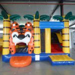 Château gonflable avec toboggan 5 x 5 m - Modèle STRGNFC112