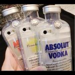 Coque bouteille de vodka pour Iphone 5 et 5s (Lot 100 pcs)
