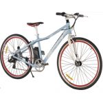 Vélo électrique randonnée 250W 36V 45 KM - VELDV2801 (Lot 10 pcs