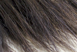 Pointes des cheveux naturels en parfait état